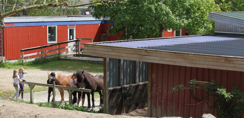 Medlemmerne af Platanbuen får også glæde af byggerens rideaktiviteter