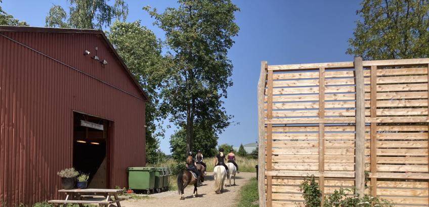 Fire medlemmer rider afsted på tur på deres heste.